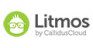 Litmos LMS Alternative